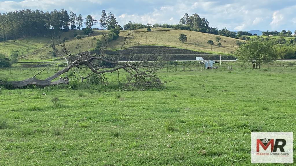 Fazenda de 121 ha em Cambuí, MG