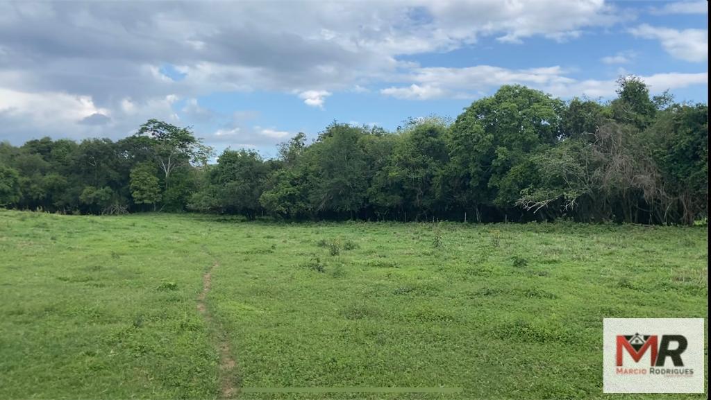 Fazenda de 121 ha em Cambuí, MG