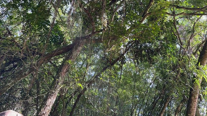 Chácara de 3.900 m² em Parobé, RS