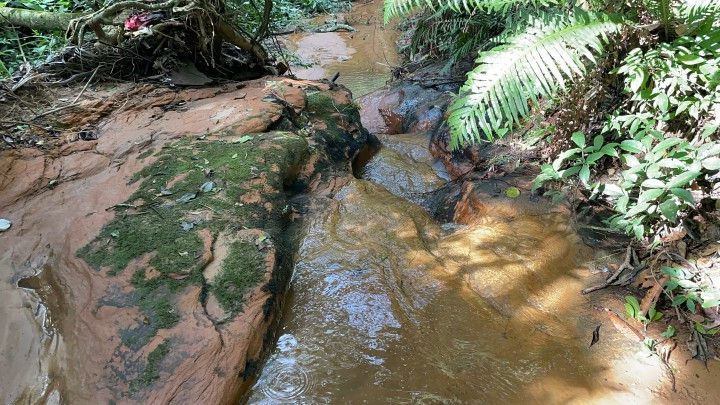 Chácara de 3.900 m² em Parobé, RS