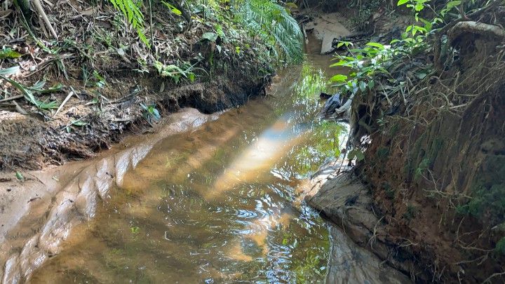 Chácara de 3.900 m² em Parobé, RS