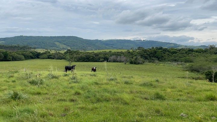 Terreno de 18 ha em Glorinha, RS