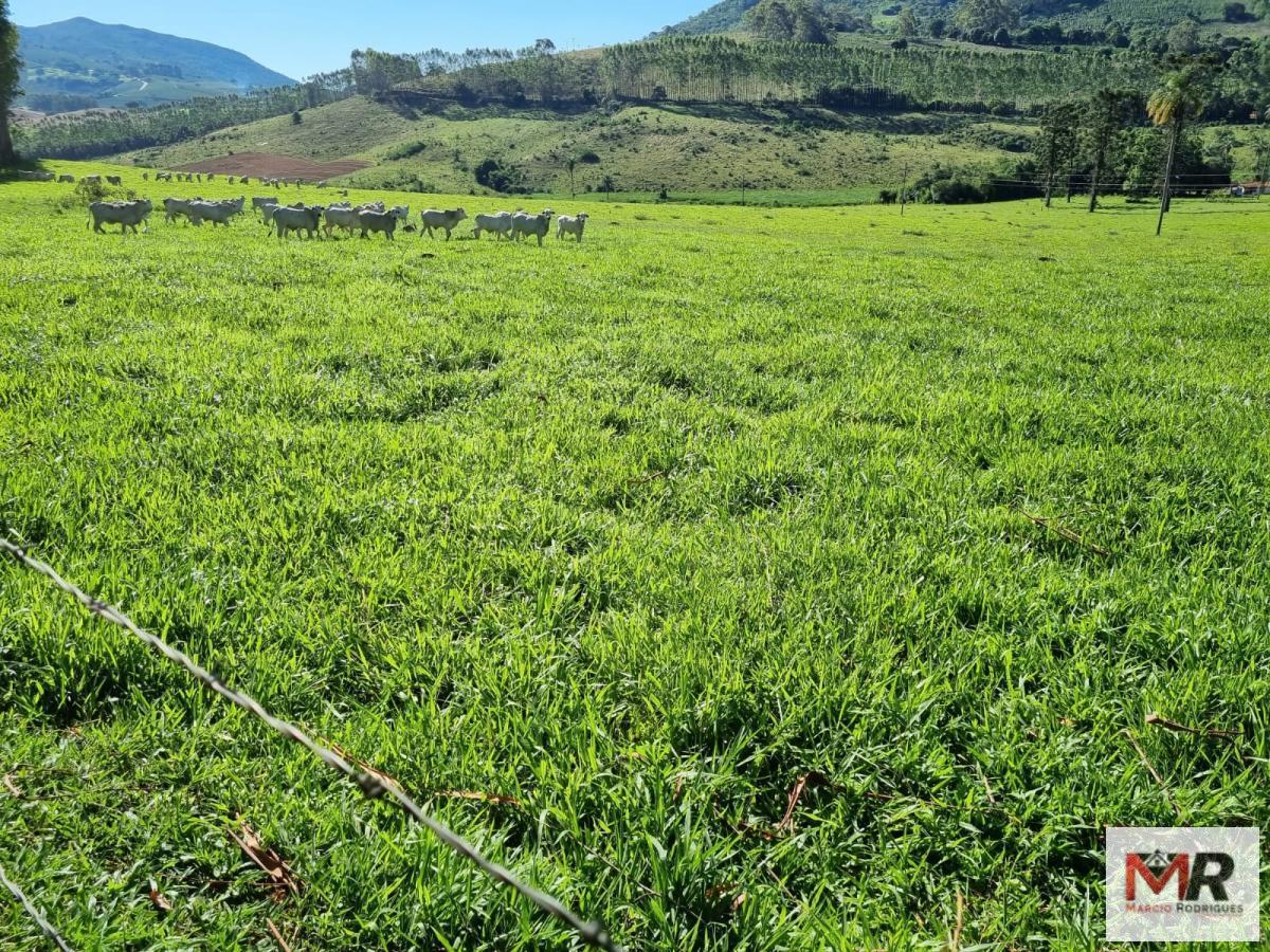 Fazenda de 380 ha em Poços de Caldas, MG