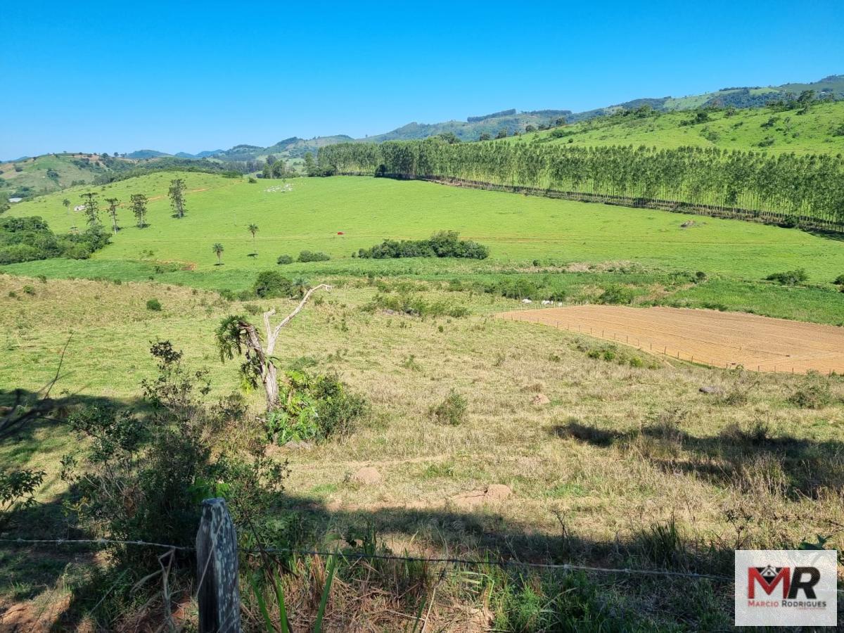 Fazenda de 380 ha em Poços de Caldas, MG