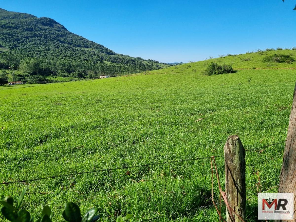 Fazenda de 380 ha em Poços de Caldas, MG