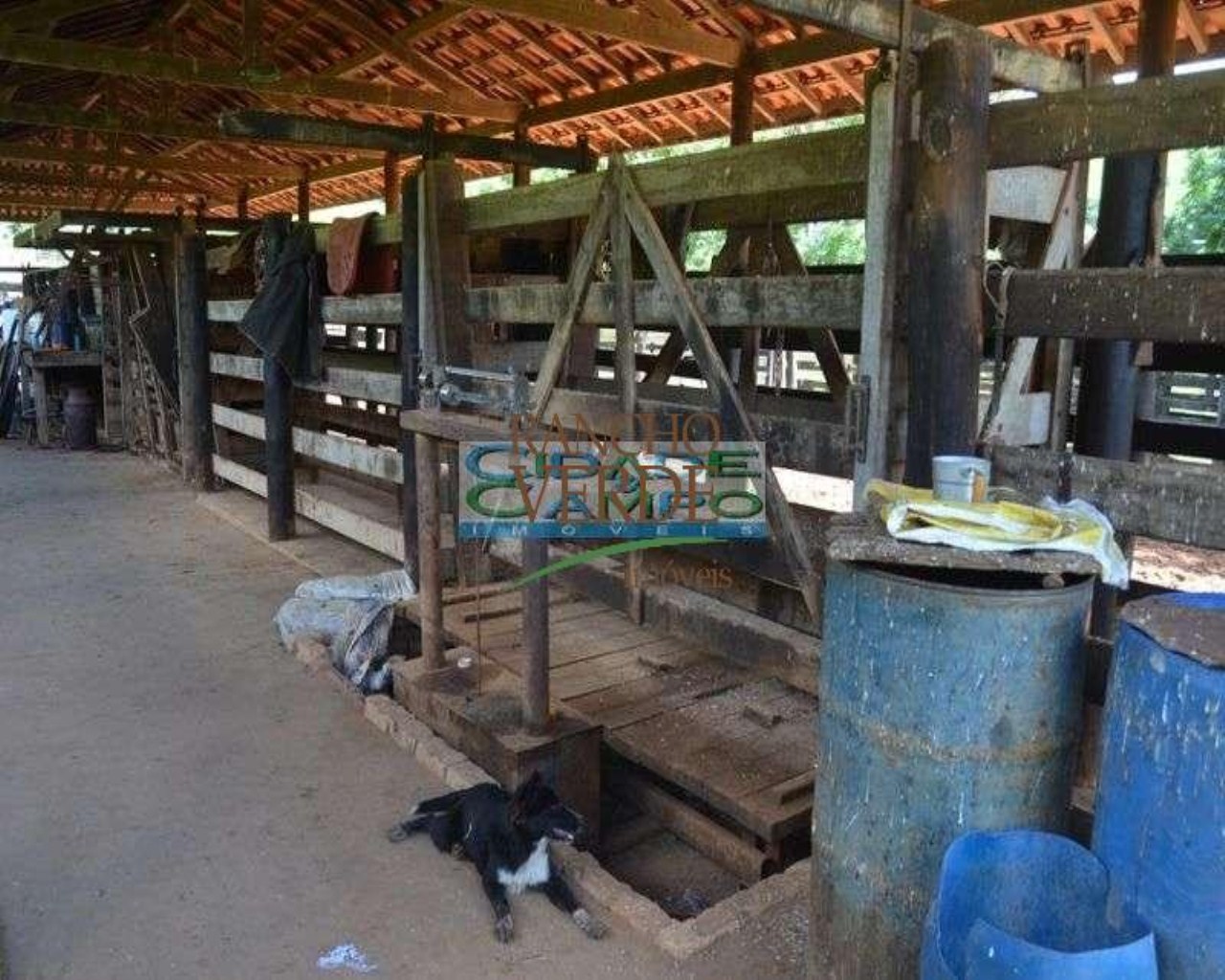 Fazenda de 896 ha em Montes Claros, MG