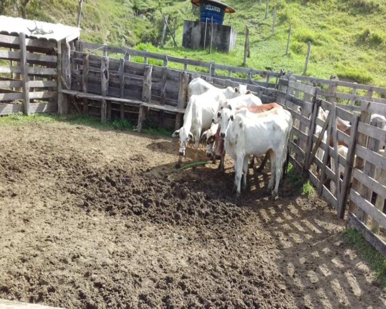 Fazenda de 121 ha em Cunha, SP