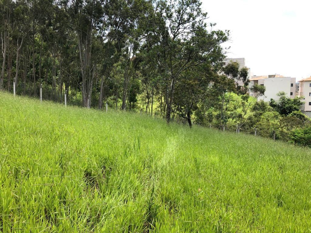 Terreno de 1.569 m² em Pouso Alegre, MG