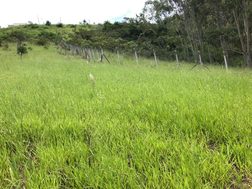 Terreno de 1.569 m² em Pouso Alegre, MG