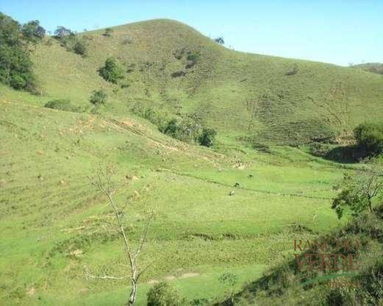 Fazenda de 121 ha em São José dos Campos, SP