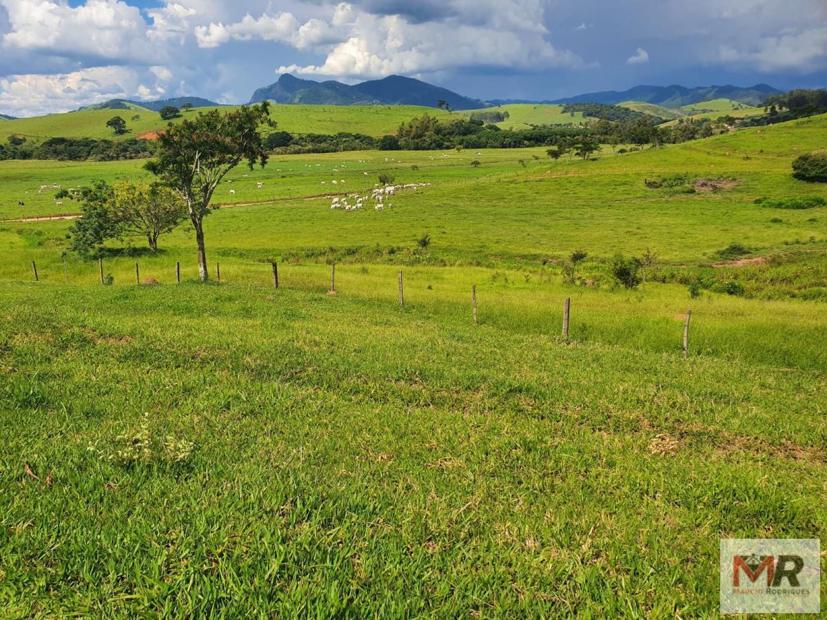 Fazenda de 233 ha em Itajubá, MG