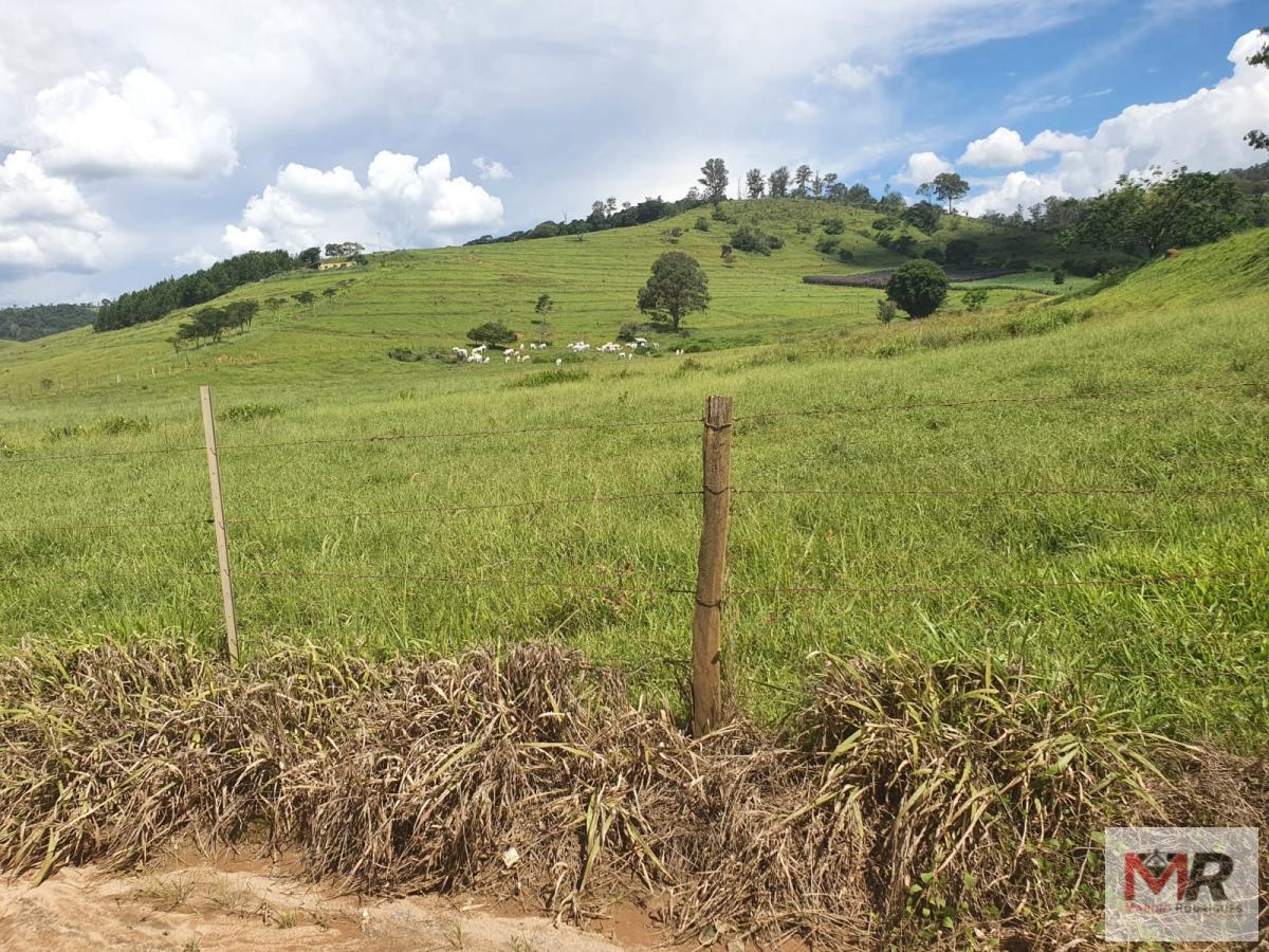 Fazenda de 233 ha em Itajubá, MG