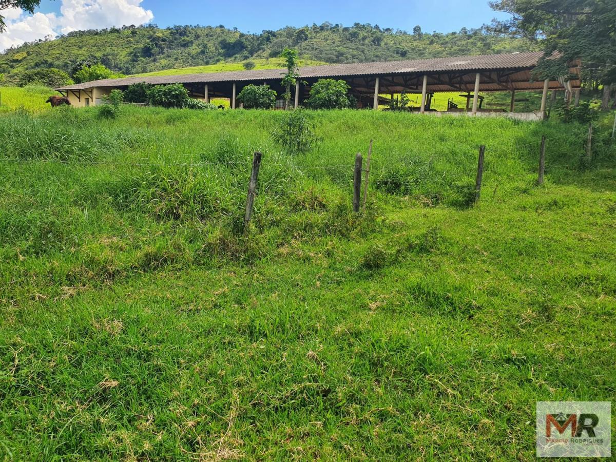 Fazenda de 233 ha em Itajubá, MG