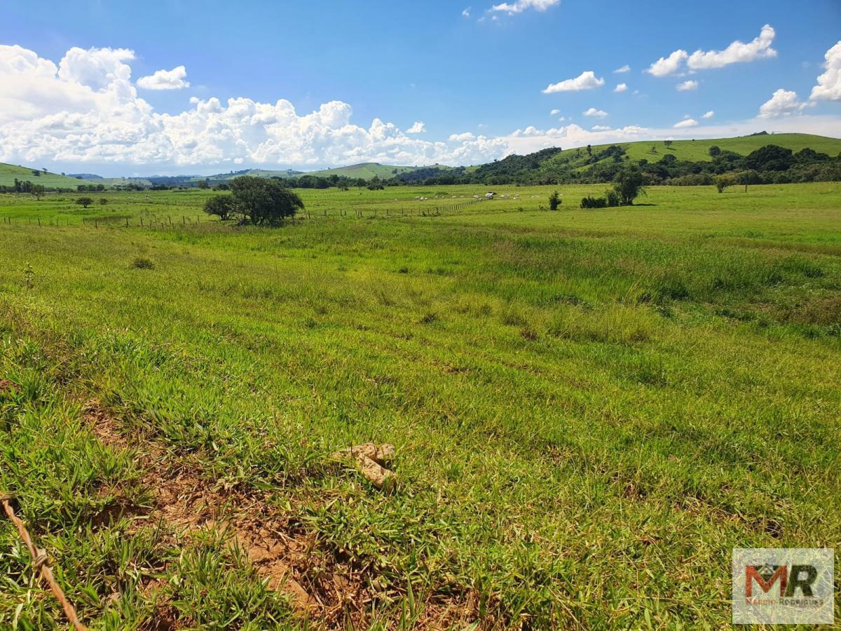 Fazenda de 233 ha em Itajubá, MG
