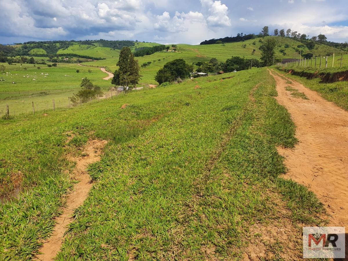 Fazenda de 233 ha em Itajubá, MG