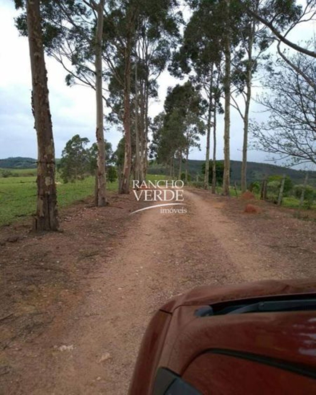 Fazenda de 80 ha em Santo Antônio do Amparo, MG