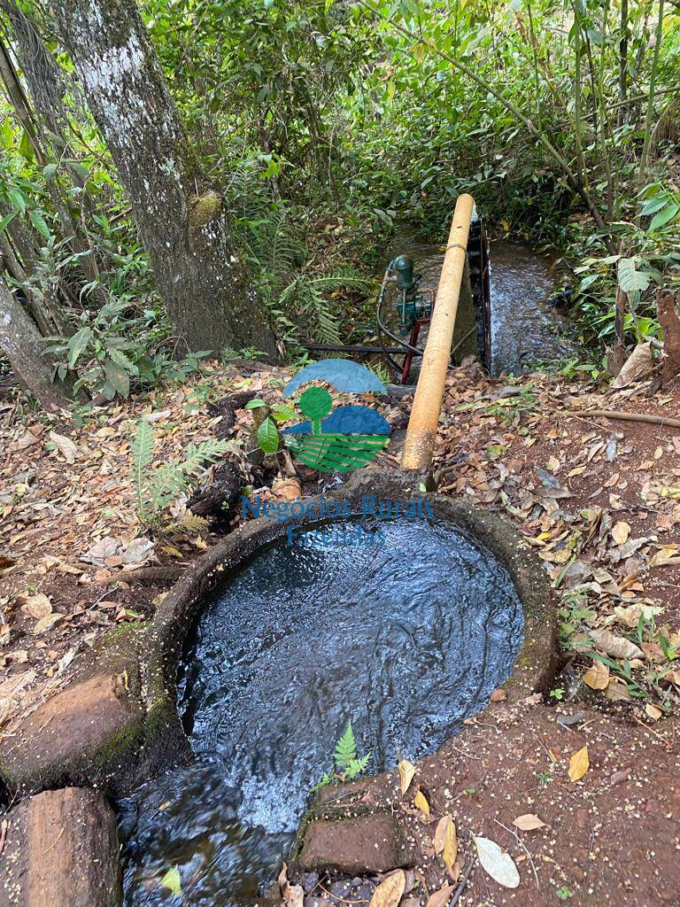 Chácara de 5 ha em Bonópolis, GO