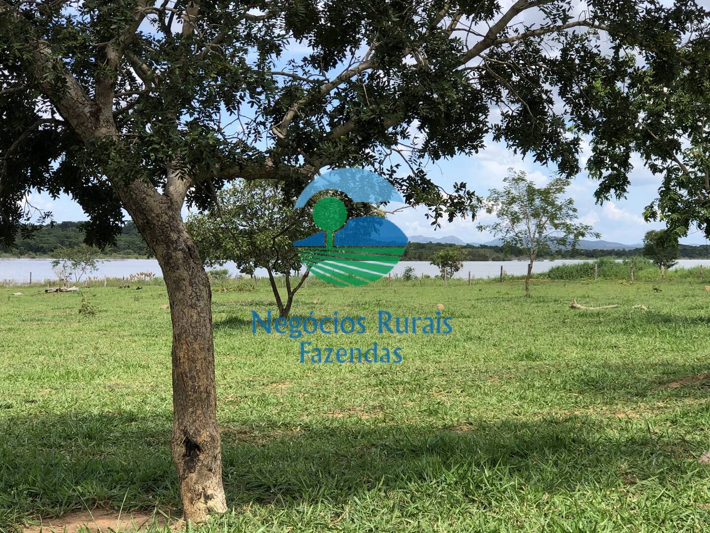Fazenda de 4 ha em Uruaçu, GO
