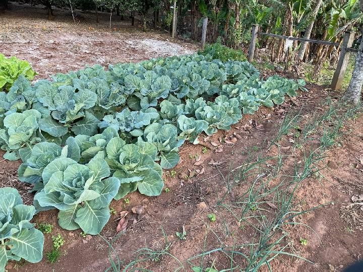 Chácara de 28 ha em Glorinha, RS