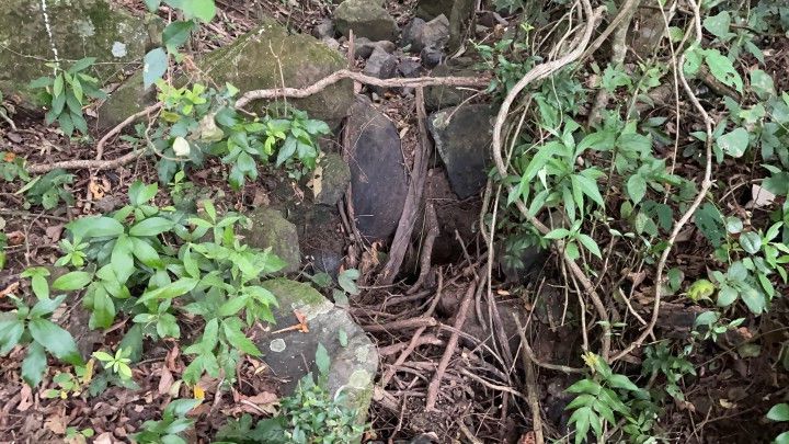 Terreno de 10 ha em Santo Antônio da Patrulha, RS