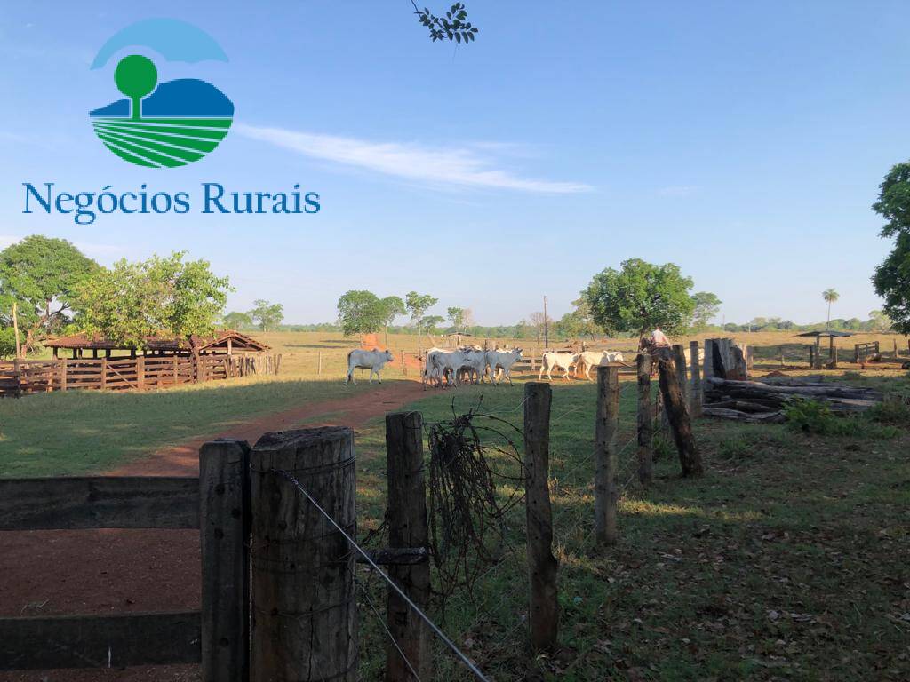 Fazenda de 16 ha em Uruaçu, GO