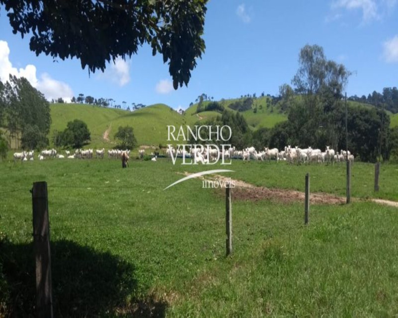 Fazenda de 322 ha em Guaratinguetá, SP