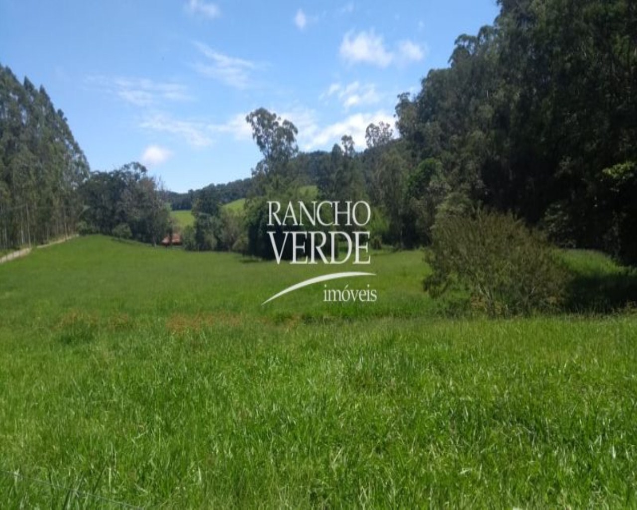 Fazenda de 322 ha em Guaratinguetá, SP