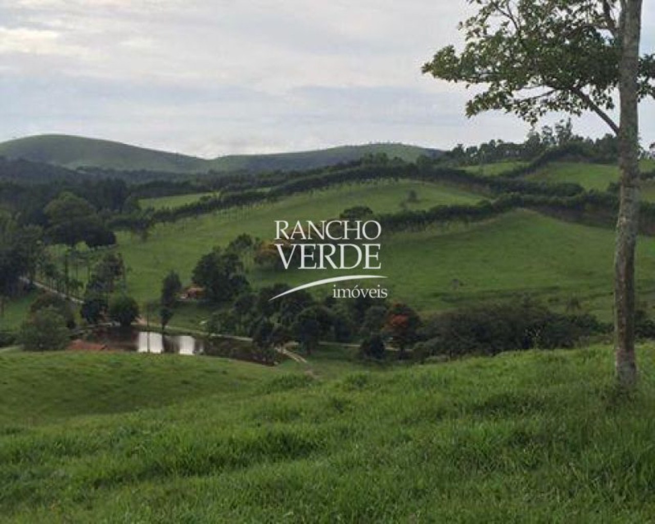 Fazenda de 322 ha em Guaratinguetá, SP