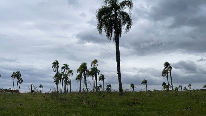 Chácara de 6 ha em Taquara, RS