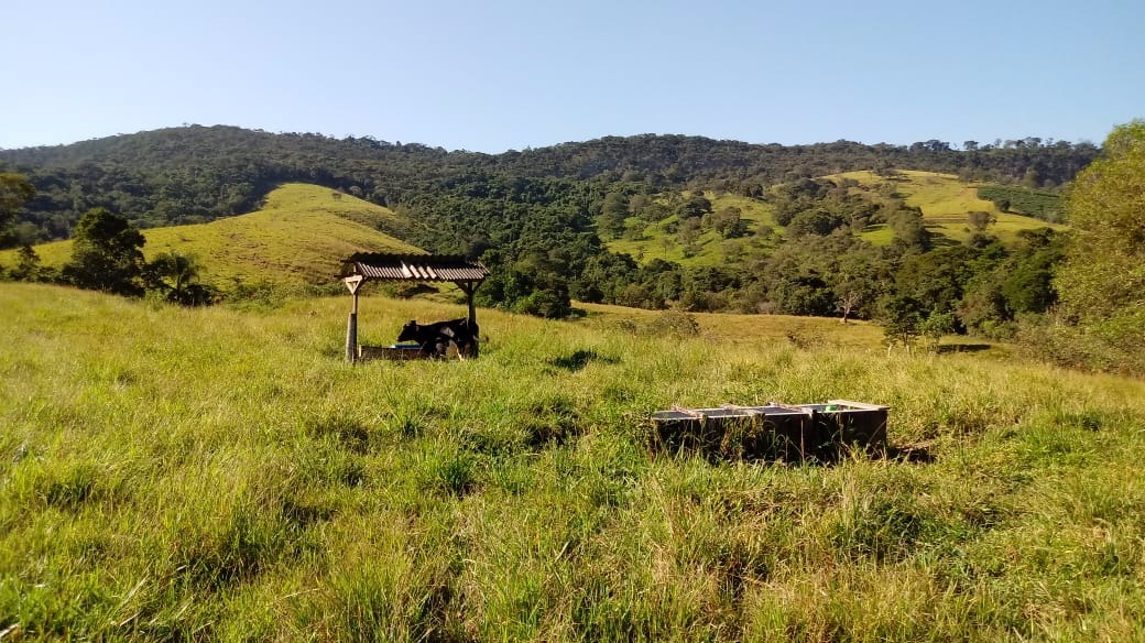 Fazenda de 121 ha em Cambuquira, MG