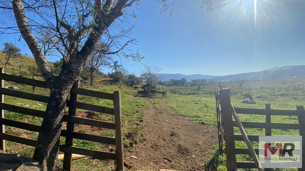 Sítio de 48 ha em Pouso Alegre, MG