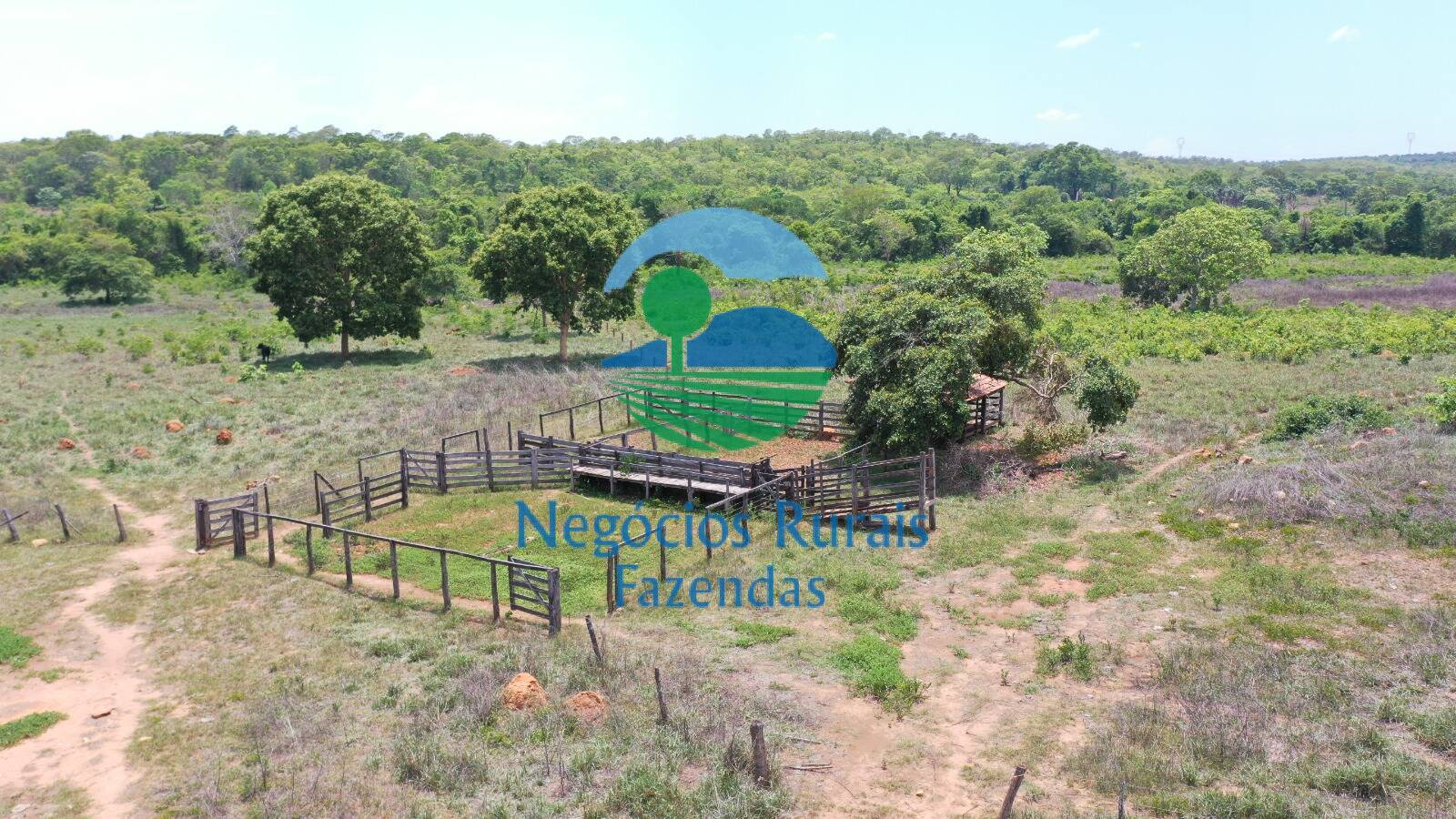 Fazenda de 266 ha em Palmeirópolis, TO