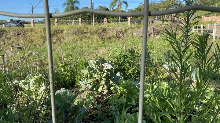 Chácara de 3.600 m² em Rolante, RS