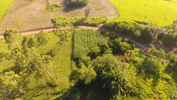 Chácara de 3.600 m² em Rolante, RS