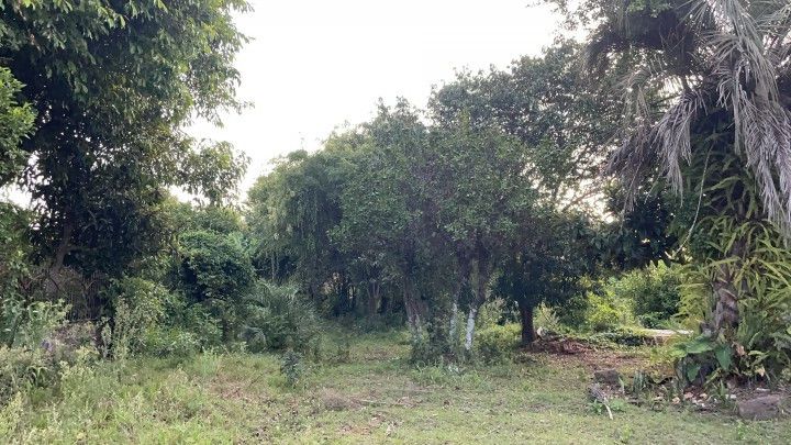 Terreno de 400 m² em Santo Antônio da Patrulha, RS