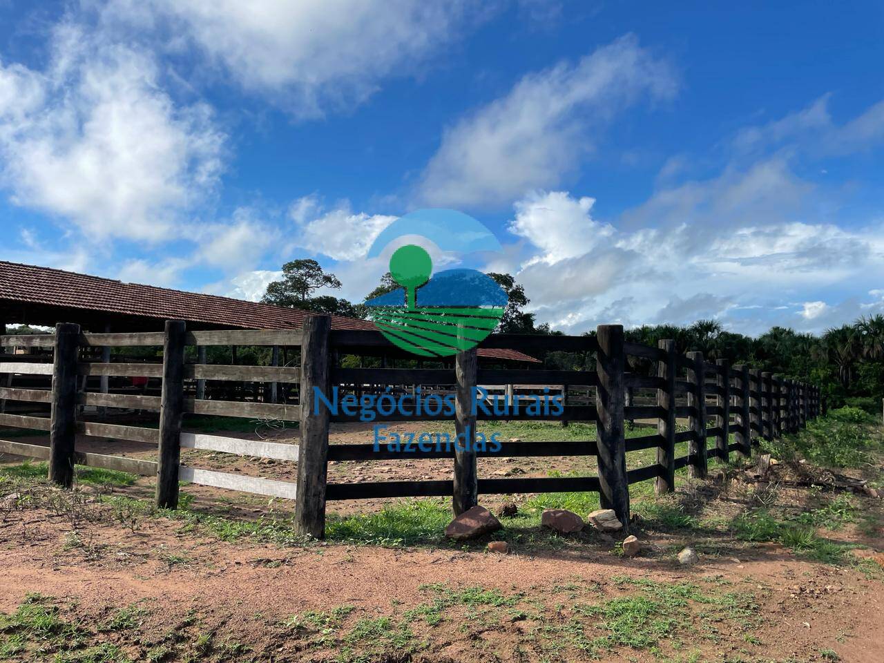 Fazenda de 1.064 ha em Porangatu, GO