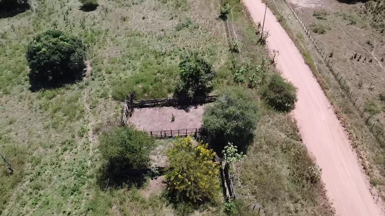 Fazenda de 348 ha em Ibotirama, BA