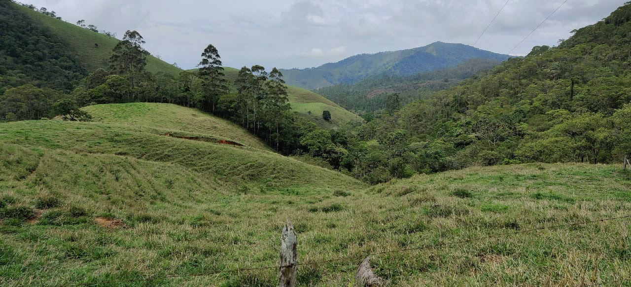 Sítio de 65 ha em Cruzeiro, SP