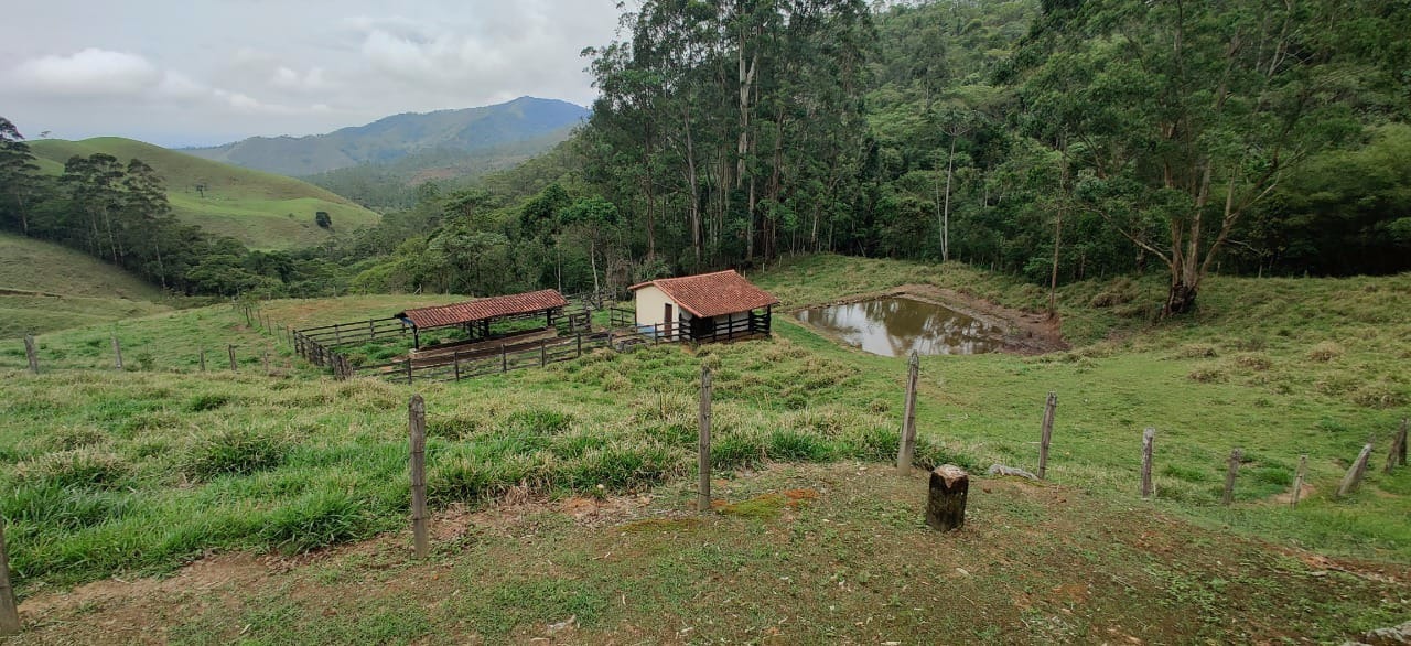 Sítio de 65 ha em Cruzeiro, SP