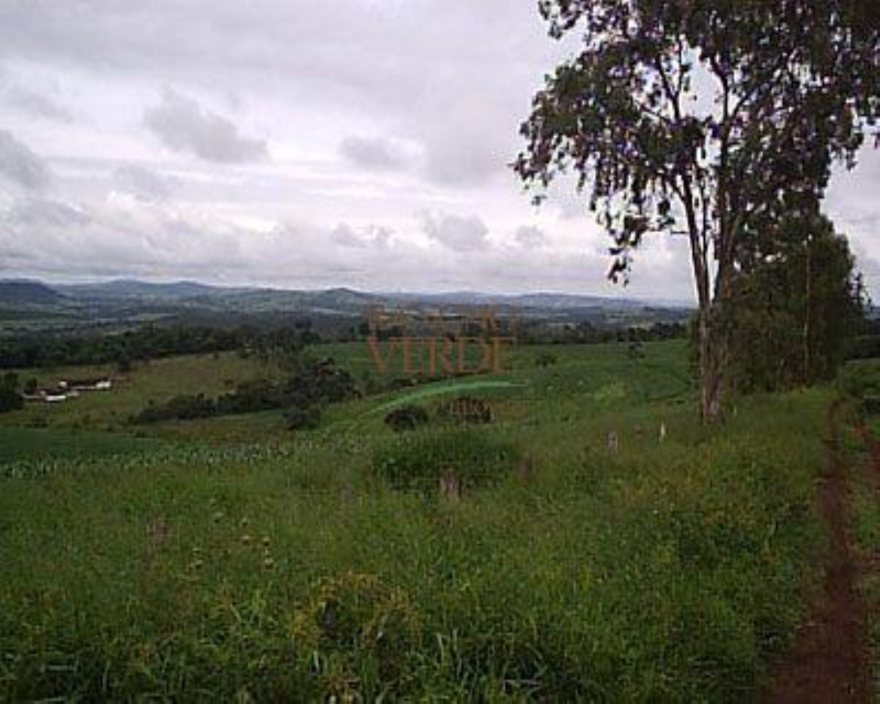 Fazenda de 344 ha em São Carlos, SP