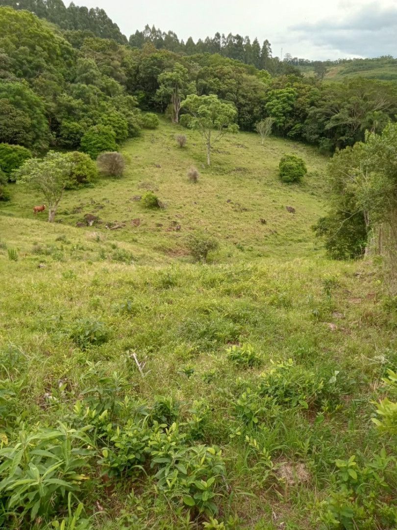 Chácara de 2 ha em Osório, RS