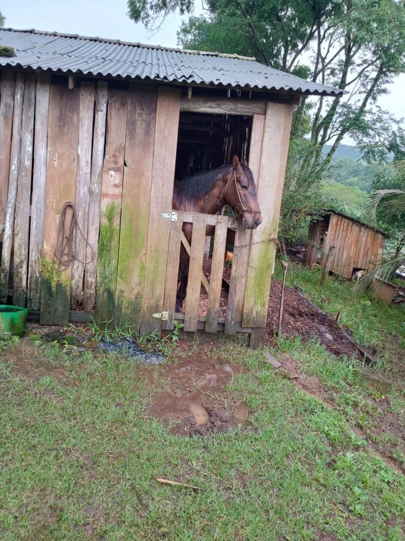 Chácara de 2 ha em Osório, RS