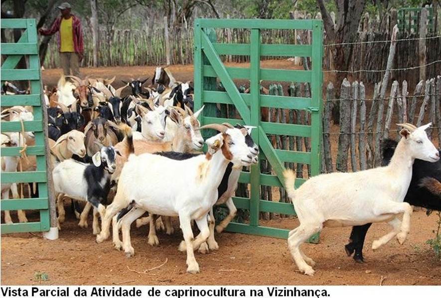 Fazenda de 17.520 ha em Muquém do São Francisco, BA