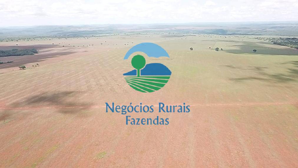 Fazenda de 1.393 ha em Santa Tereza de Goiás, GO