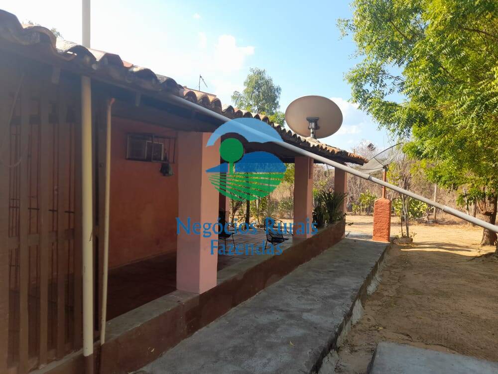 Fazenda de 70 ha em Floriano, PI