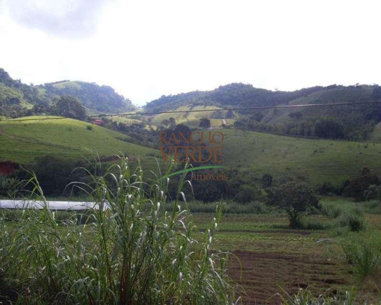 Fazenda de 98 ha em Paraisópolis, MG