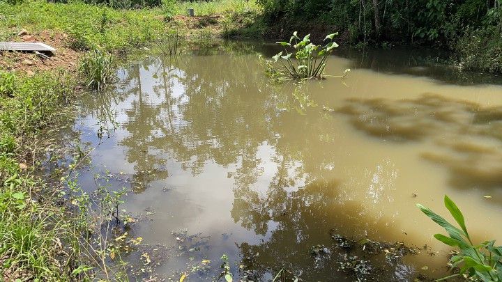 Chácara de 4 ha em Caraá, RS