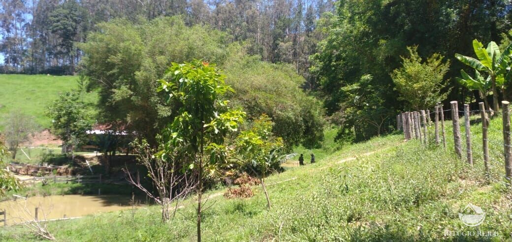 Sítio de 3 ha em Monteiro Lobato, SP