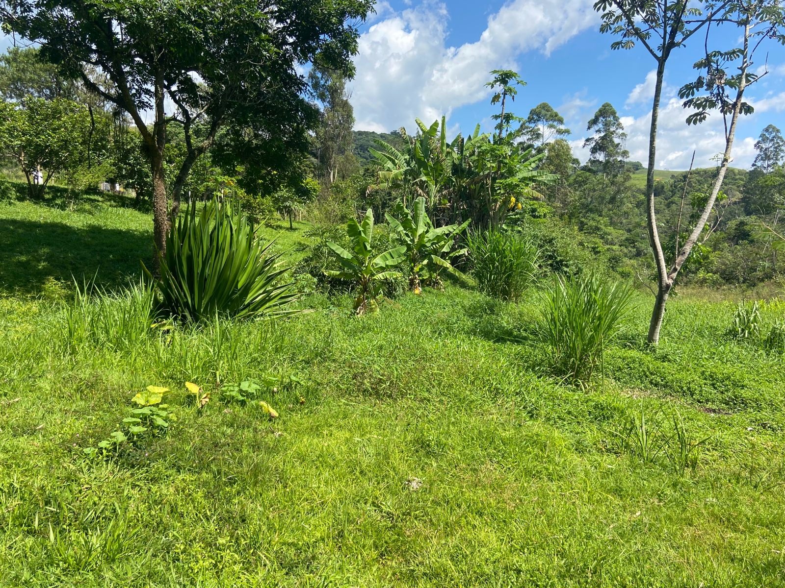 Chácara de 9.000 m² em Pindamonhangaba, SP