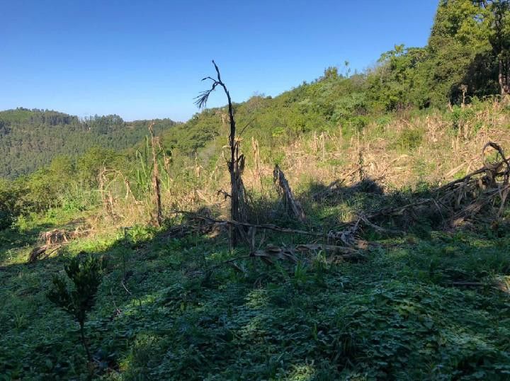 Chácara de 1 ha em Rolante, RS